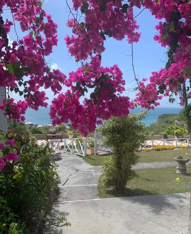 Vista Mare - Cozy Apartment With Beach At Walking Distance Dickenson Bay Exterior photo
